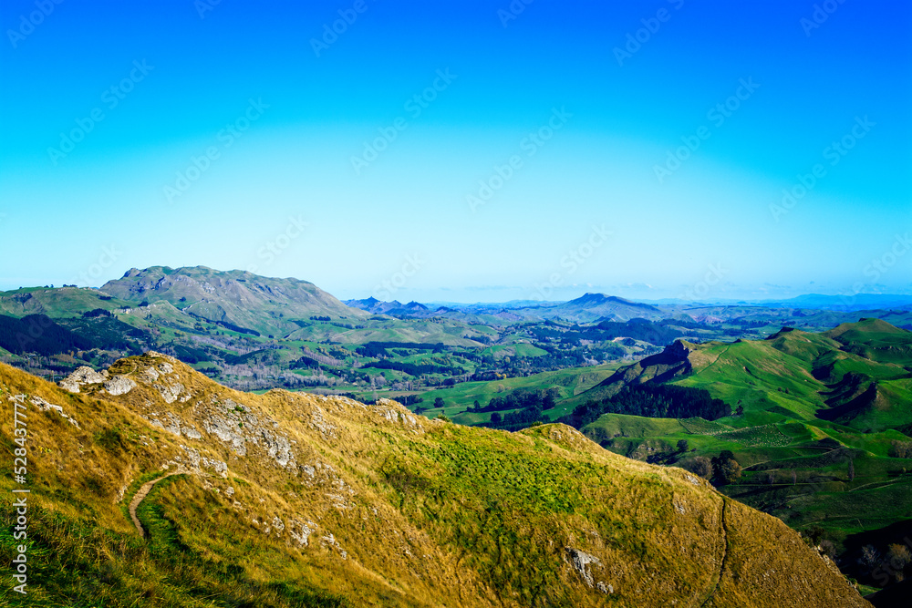 Obraz premium Looking from the top of Te Mata Peak over Te Mata Hills. Beautiful autumn day near Hastings, Hawkes Bay, New Zealand