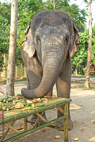 Phuket, Thailand