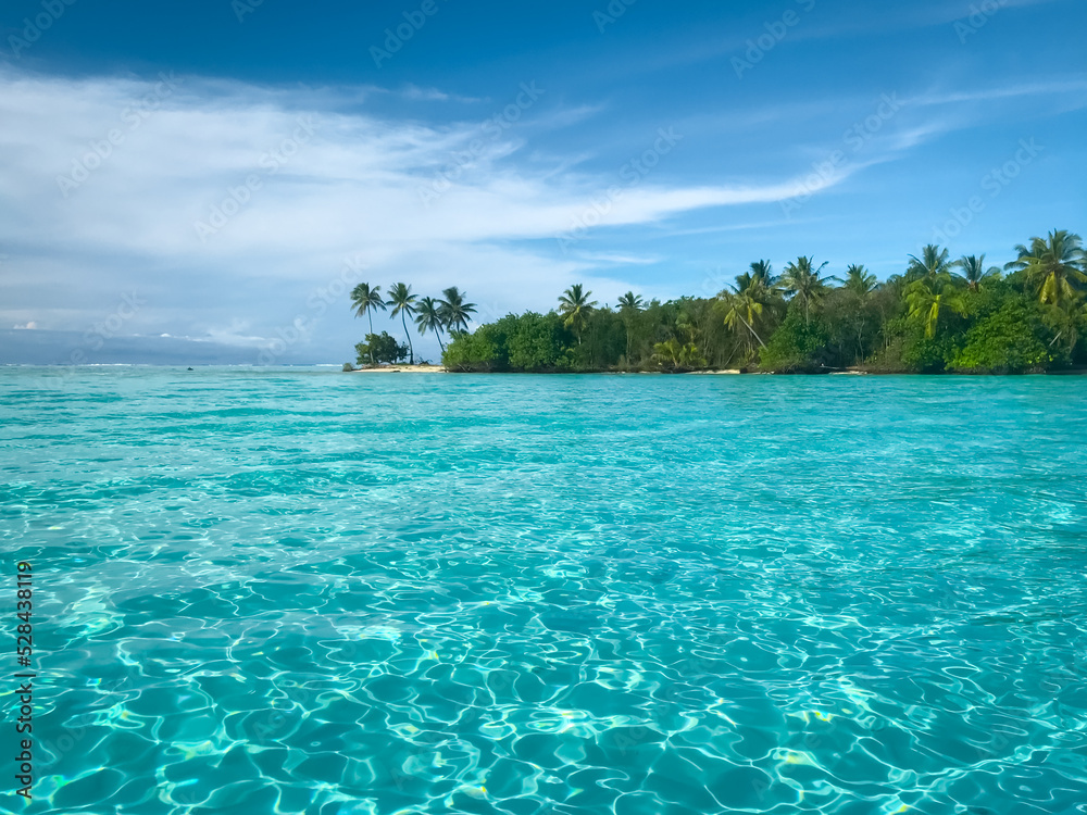 Fototapeta premium Maldives turquoise water landscape. Crystal sea, tropic palm trees, green island with white sand and blue sky. Amazing nature background. Concept of an ideal resting place. Popular tourist destination