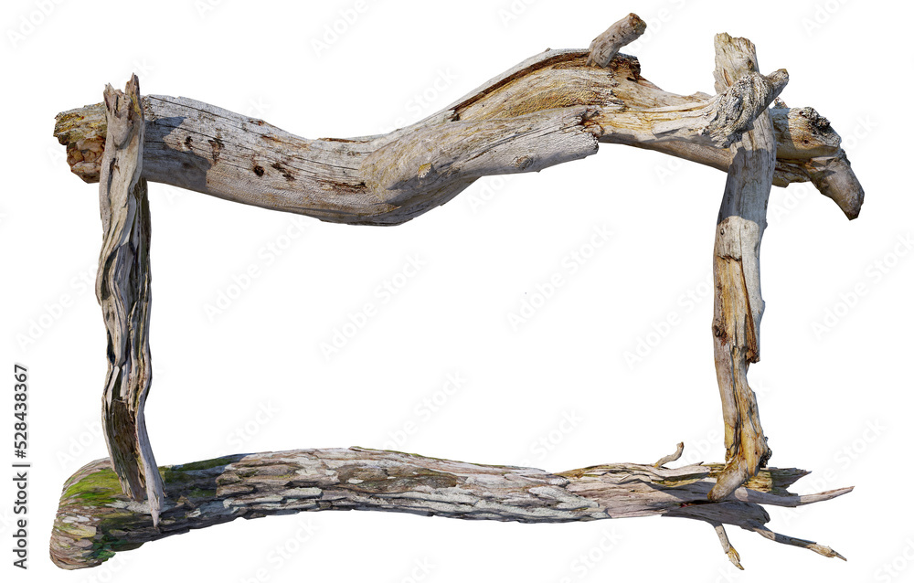 stump on a transparent background
stump on a transparent background