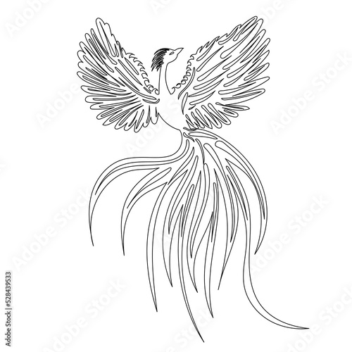 phoenix bird sketch, contour vector, isolated