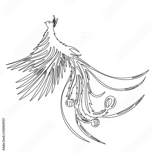 phoenix bird sketch, contour vector
