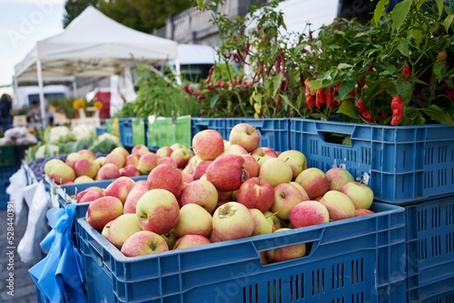 Photography Fresh fruits and vegetables on display at the farmers' market in autumn