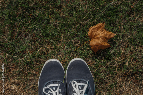 Blue sneakers with white laces on the green grass with dry autumn maple leaf. © ichugai