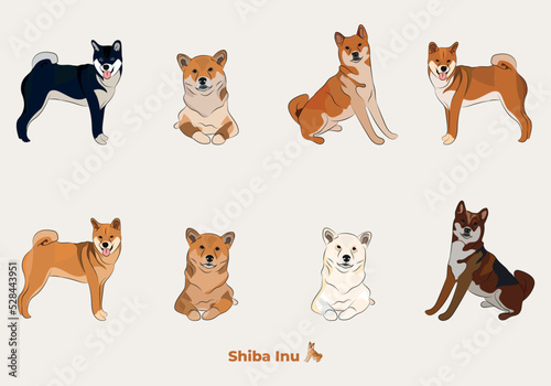 Shiba Inu breed, dog pedigree drawing. Cute dog characters in various poses, designs for prints adorable and cute Shiba cartoon vector set, in different poses.