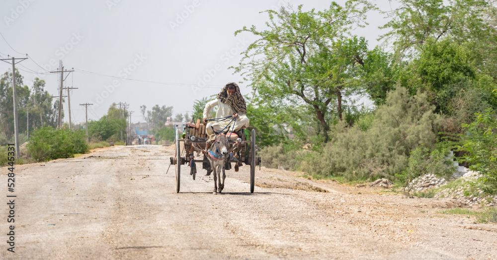 villager is traveling on a donkey buggy  - obrazy, fototapety, plakaty 