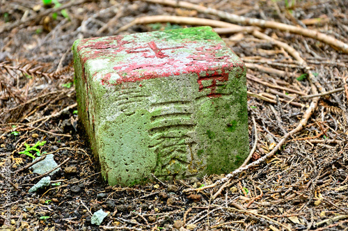 西丹沢の峯坂峠　三等三角点
峯坂峠は西丹沢の南西、神奈川県と静岡県との県境尾根（神奈川・静岡県境尾根）に位置する峠。神奈川・静岡県境尾根の世附峠から東へ5分程登った場所に位置する。地名は峠だが、実際の場所は世附峠から僅かに登った森の中の小ピーク。山と高原地図にも地名の表記はなく、三角点のマークのみ表示されている。実際にも道標はなく、薄暗い森の中に三角点の柱石が目立たないように埋もれて存在しているよ photo