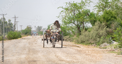 villager is traveling on a donkey buggy  © Ali Magsi