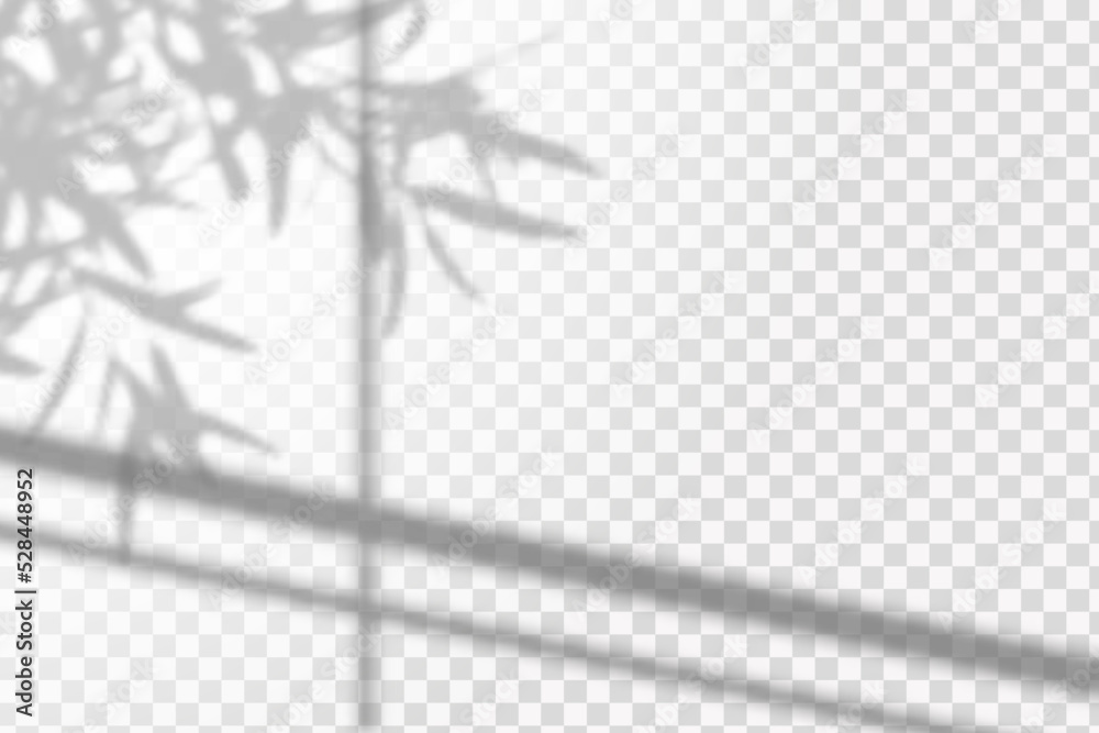 Soft shadow form window and plants, light overlay effect. Scenes of natural lighting.Effect Template for social media backgrounds, product presentations, photo shots. Soft shadow form window and plants, light overlay effect. Scenes of natural lighting.Effect Template for social media backgrounds, product presentations, photo shots.