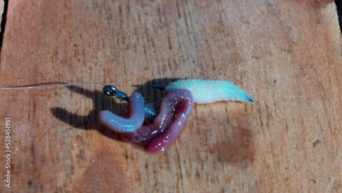 Maggots and worms on a fishing hook. Fish bait