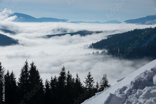 landscape view of winter carpathian mountains © phpetrunina14