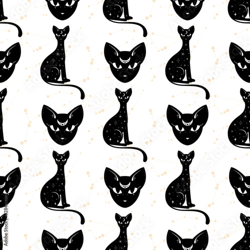 Seamless pattern with a cat. Mystical pattern. Black cat, halloween, Sun, stars, moon, moon phases. Vector.