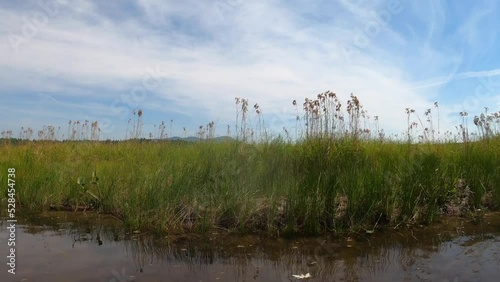 River rushes along a channel leading into Lovewell Pond in Fryeburg,Maine. photo