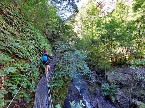Excursión por pasarelas