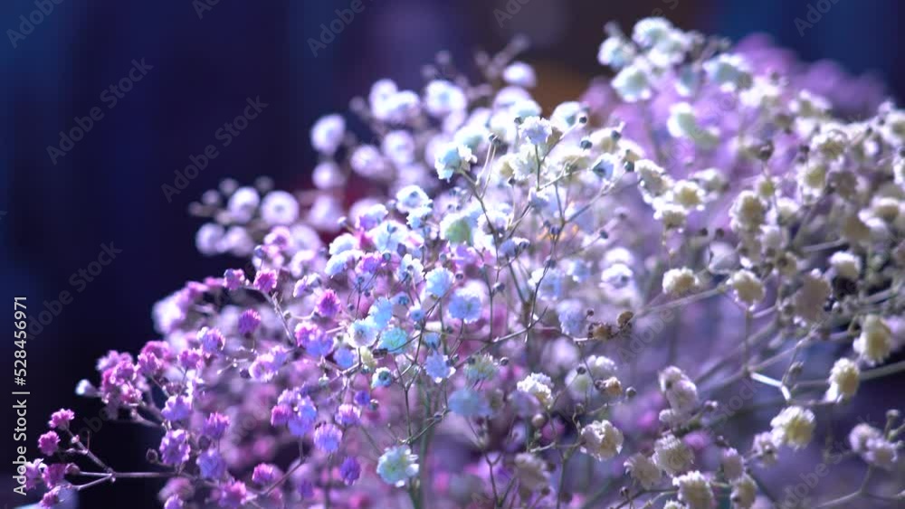 the flower of the bride. beautiful flower bouquet made from the bride's flower. 4k video.