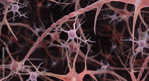 Microglia are brain cells which can couse autoimmune diseases such as multiple sclerosis photo