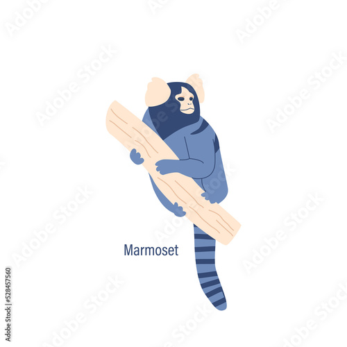 Marmoset Monkey, Ape, Wild Animal Creature Sitting On Tree Branch Isolated On White Background. Cute Small Jungle Mammal