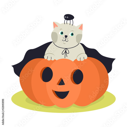 Funny kitten wearing a black cloak and jack-o-lantern pumpkin. Hand drawn vector illustration. Great for Halloween posters, greeting cards
