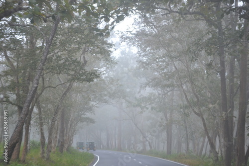 road in the fog © jithin