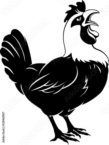 Rooster chicken crowing