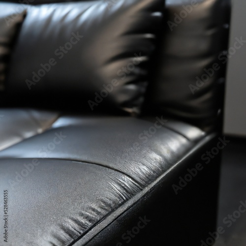 Black Leather Sofa in a Modern Living Room
