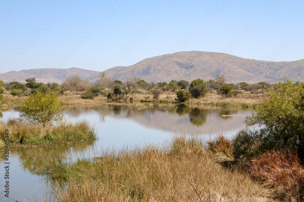 scenery with hill, bush and water and reflection in the water
