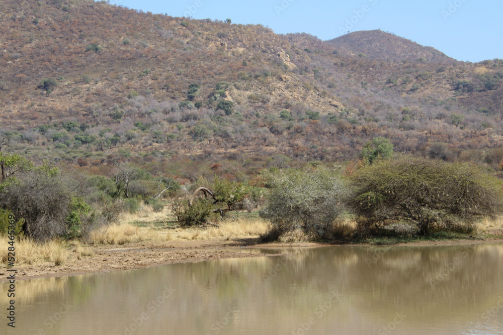 waterpoint in the Pilansberg nature reserve. winter scenery and reflection in the water