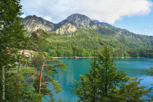 Gorgeous emerald-green lake Alpsee in the German Alps near castles Hohenschwangau and Neuschwanstein, Allgau, Bavaria, Germany, Allgau, Bavaria, Germany