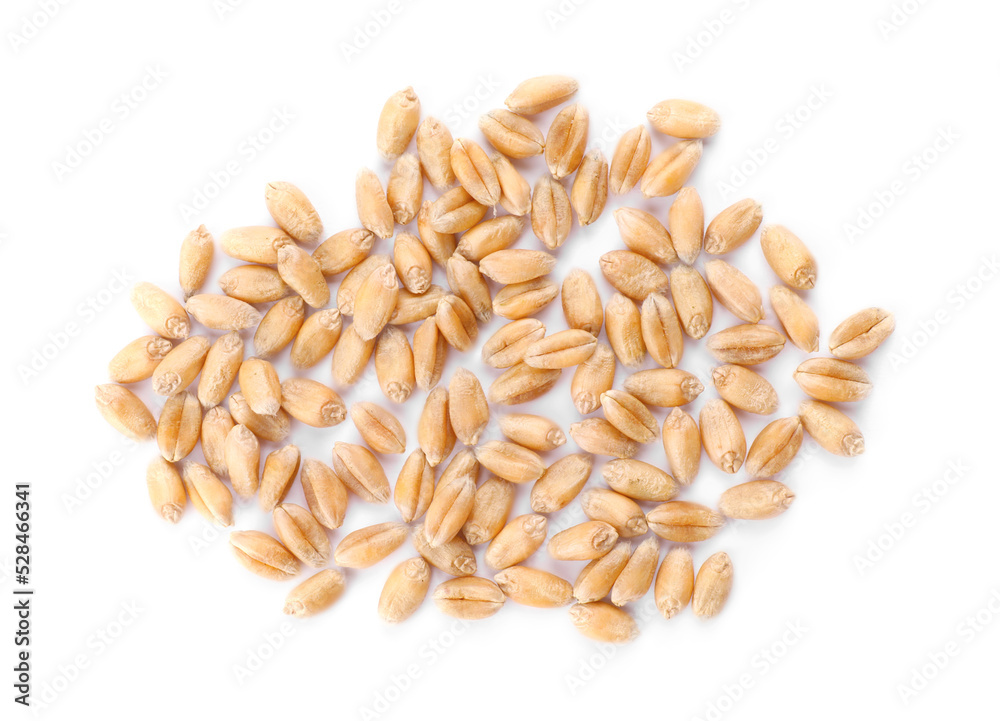Pile of wheat grains on white background, top view Pile of wheat grains on white background, top view
