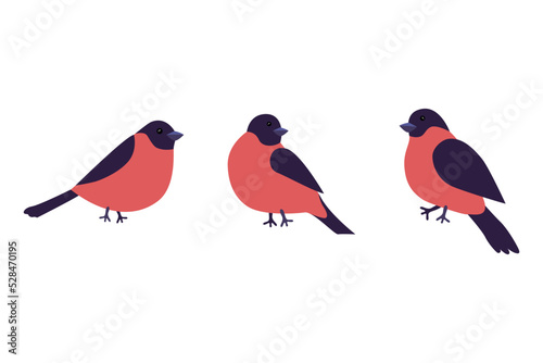 Set of illustrations of bullfinches on a white background