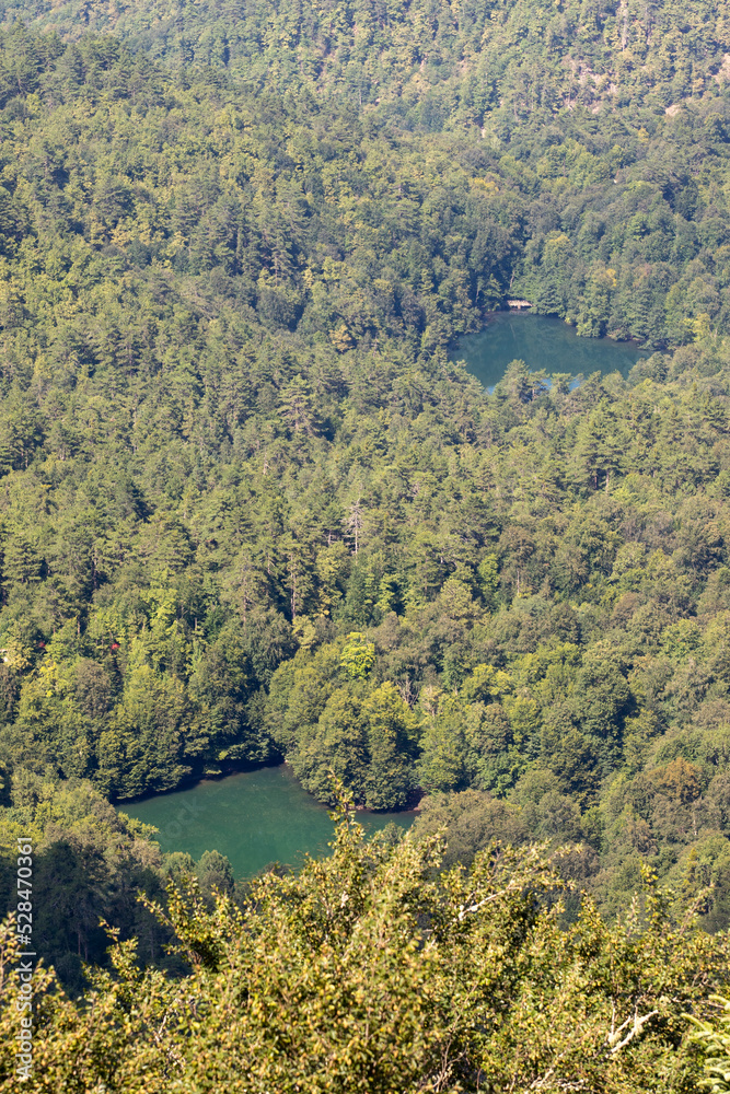 Lake hidden in the forest. View of forest and lake from above. Bolu Yedigoller