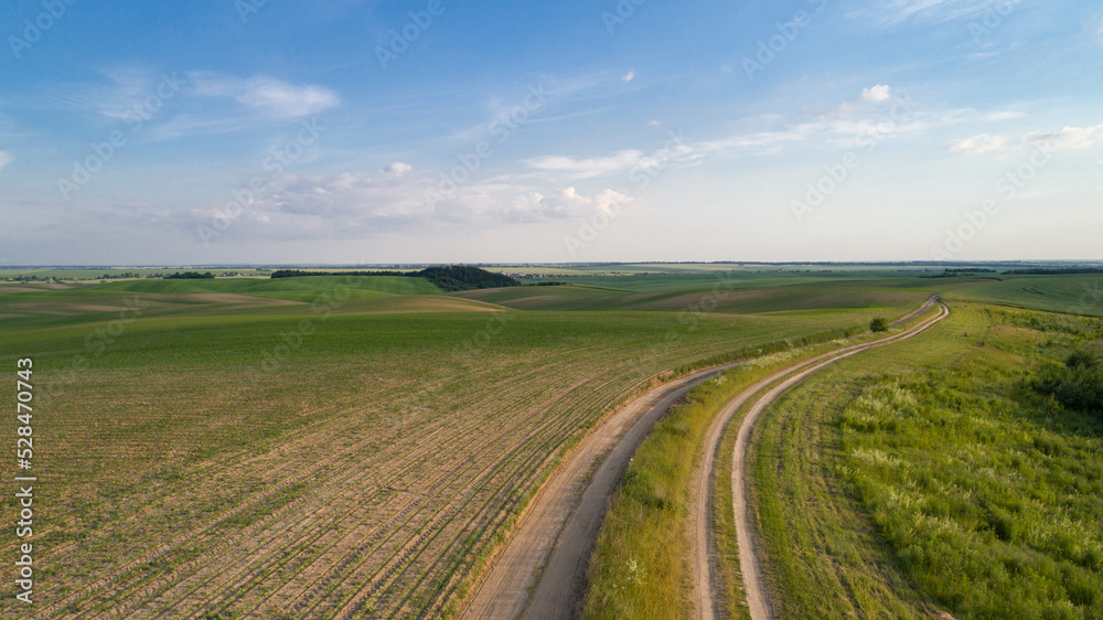 dirt road near the forest. Summer landscape with field, forest and picturesque sky dirt road near the forest. Summer landscape with field, forest and picturesque sky