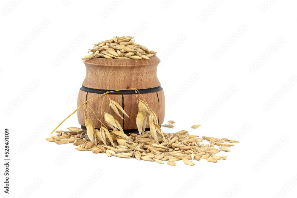 Small wooden barrel filled with oats grains with husk
