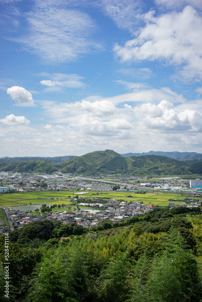 夏の藤枝市の街並み