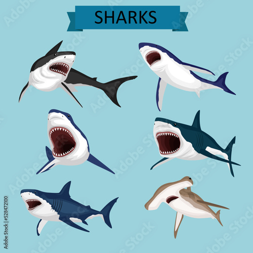 set of sharks
