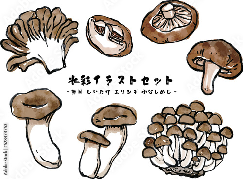 さまざまなきのこのベクター水彩イラストセット 絵手紙風