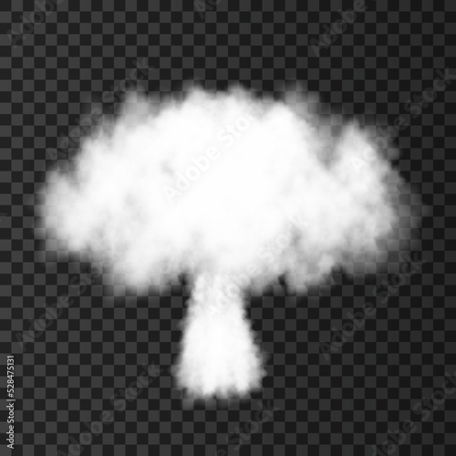 Nuclear explosion isolated on transparent background.