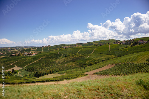 Vineyards on hills in Northern Italy