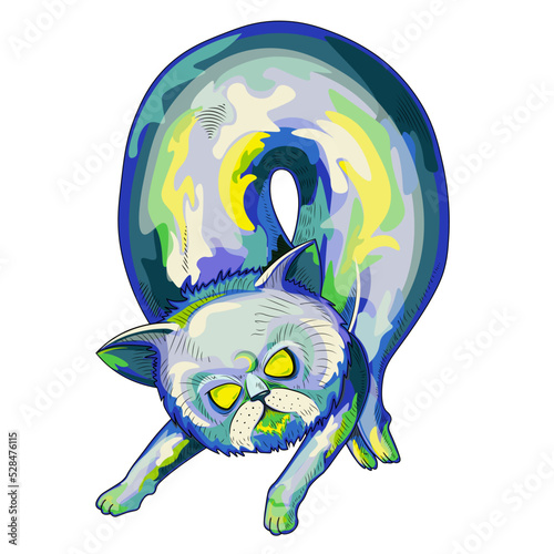 a multicolored cat that bent a wheel