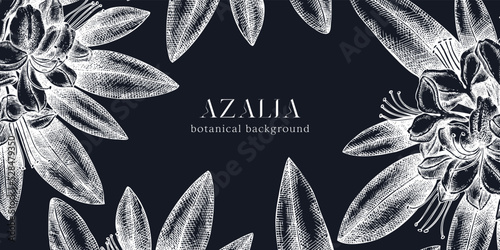 Floral background on chalkboard. Vector frame with hand drawn azalia sketches. Vintage design with rhododendron flowers and leaves. Evergreen plants botanical illustration for banner, postcards, web photo