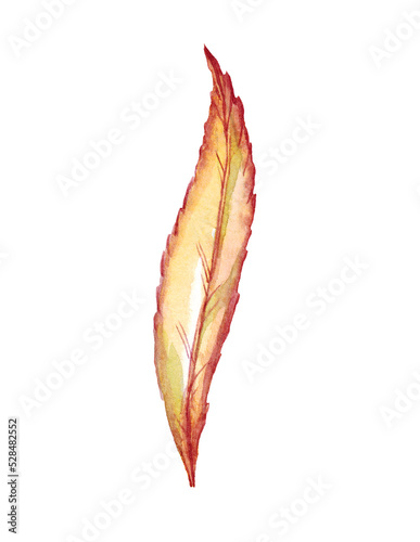 Fall leaf. Watercolor clipart. Hand-painted illustration © Alena