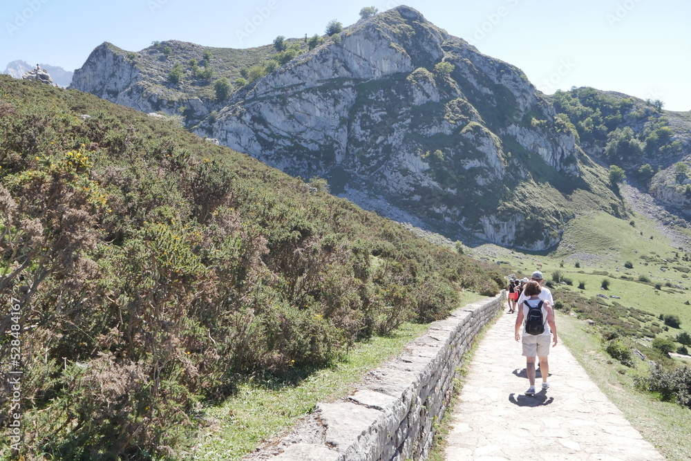 Chemin rocheux ou route à travers les pics de l'Europe, site touristique espagnol, haute montagne et nature vertigineuse, végétation préservée
