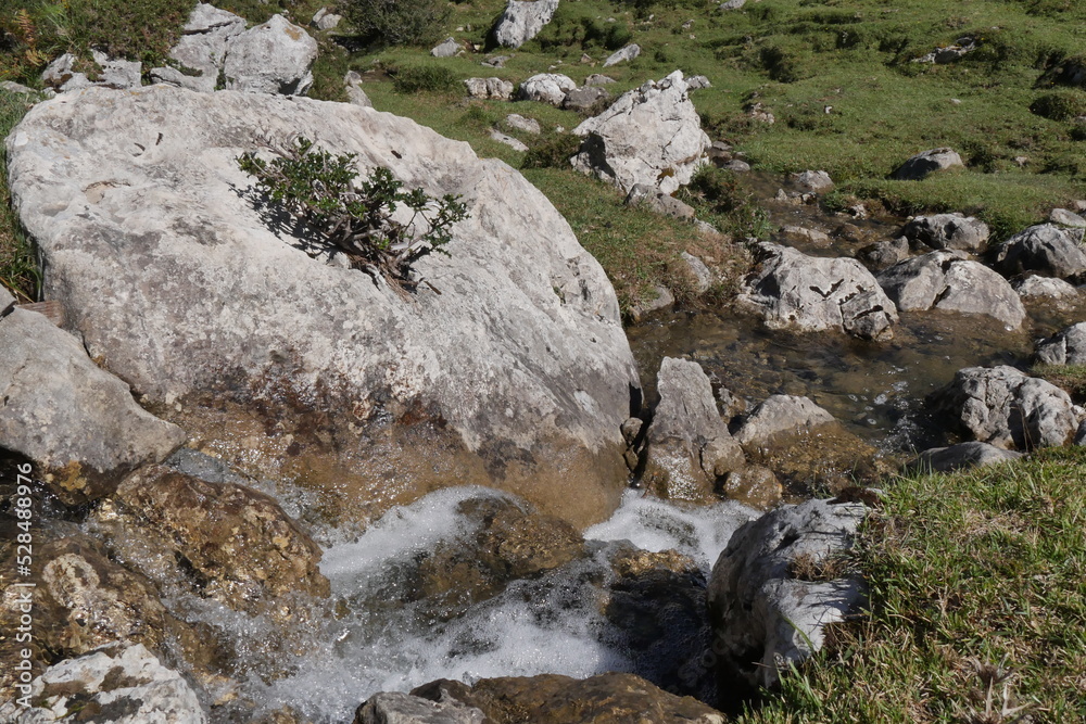 Long ruisseau calme et paisible coulant à travers les pics de l'Europe, entre les rochers, en Espagne, magnifique végétation