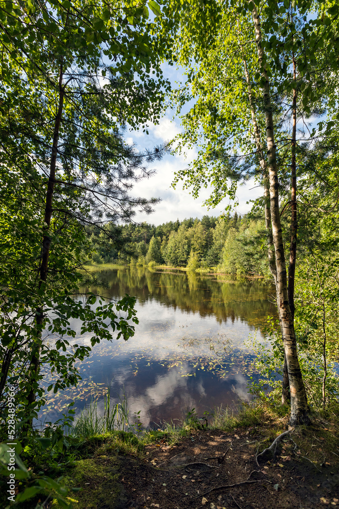 Beautiful summer landscape with a view of the forest lake and Russian birches. Beautiful summer landscape with a view of the forest lake and Russian birches.