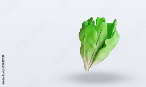 3d Vegetable Letuce rendering top view