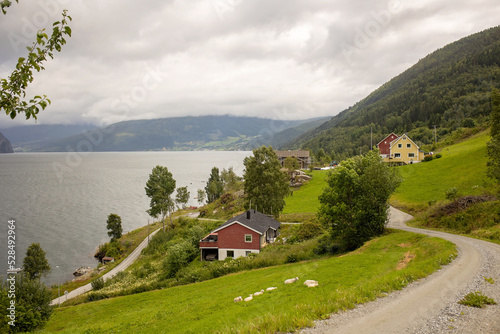 People, adult with kids and pet dog, hiking mount Hoven, enjoying the splendid view over Nordfjord from Loen skylift