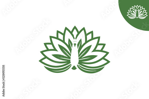 Peacock flower logo