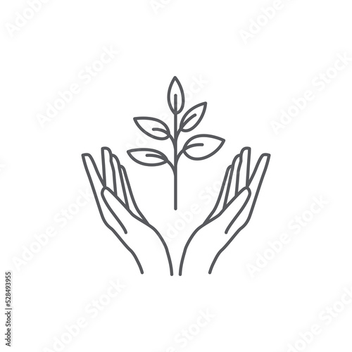 Hand and Plant icon design. plant leaf Pictogram. seed and hand linear logo. Tree in hand vector. Vector illustration