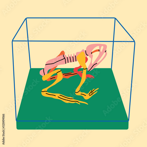 Toad skeleton, simple flat line style. Vector cartoon illustration. Anatomy, zoology, amphibian research, frog, demonstration of animal bone system, construction, sample. Trending sticker icon badge.