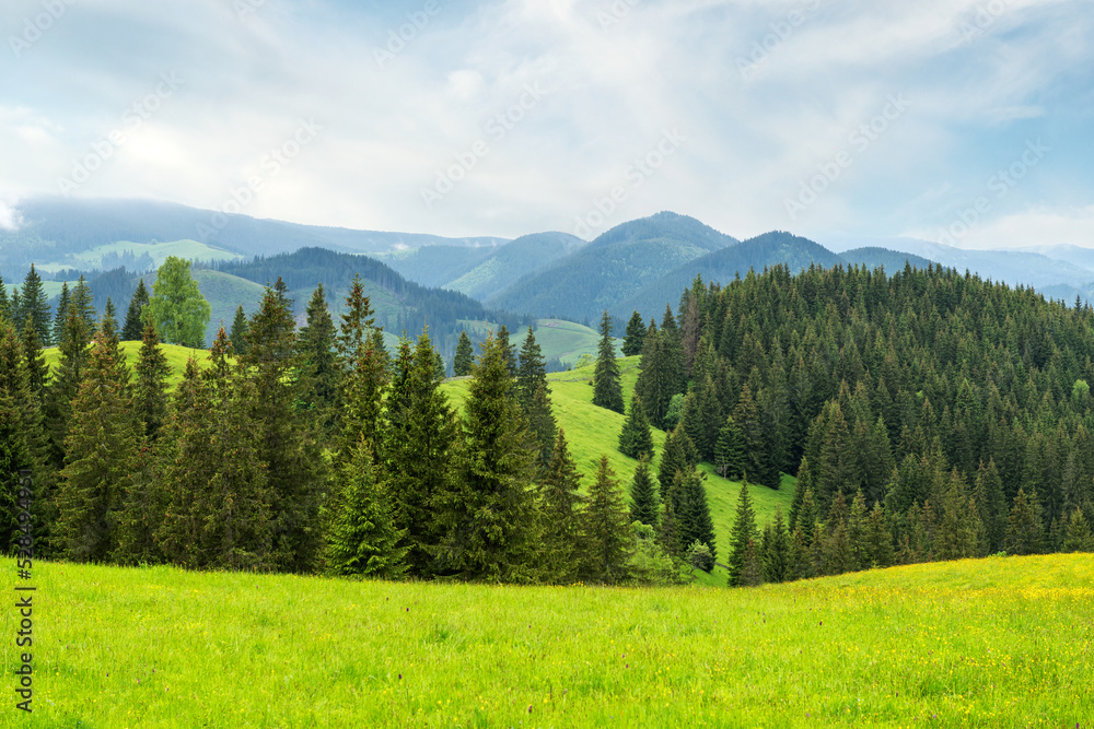 Mountain landscape, panorama of green hills in summer